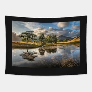 Kelly Hall Tarn Lake View with Trees Tapestry