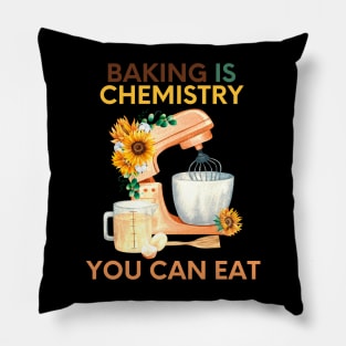 Baking is chemistry you can eat Pillow