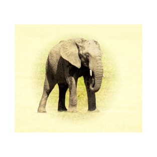 African elephant T-Shirt