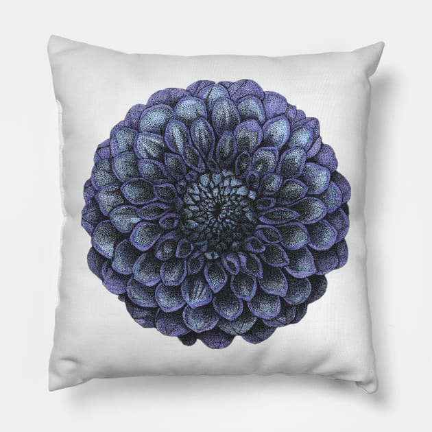 Blue and Purple Dahlia Flower Pillow by Broken Line Design