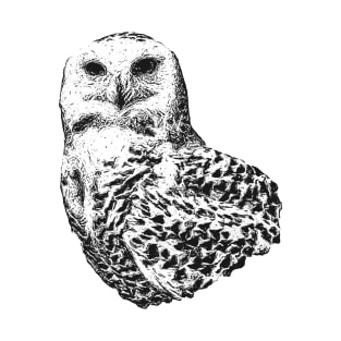 Snowy owl T-Shirt