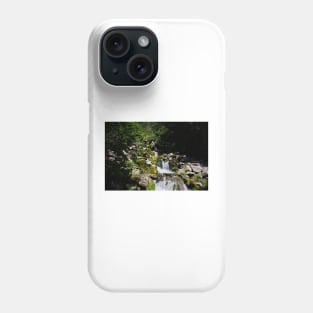 850_4572 Phone Case