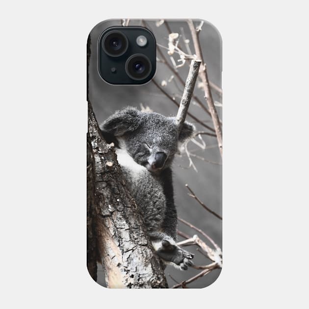 Koala Phone Case by Wolf Art / Swiss Artwork Photography