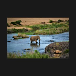 Elephant in the Crocodile River T-Shirt