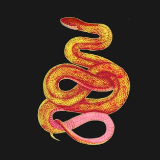 serpent,cobra,reptile,viper,venom,lizard,rattlesnake,king cobra,dragon,hydra,poison,venomous,plumber's snake,pythonidae,pythons,auger,python,squamata,serpentine,worm,big,ophidian,rattlesnakes,medusa,snakebite T-Shirt