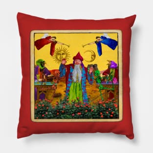 The Alchemist Groove Pillow