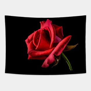 One rose says more than the dozen- Wendy Craig Tapestry