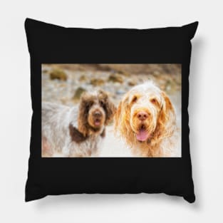 Beach hair Spinone Pillow