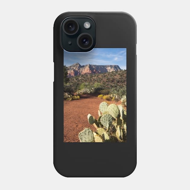 Arid landscape. Phone Case by sma1050