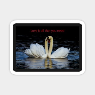 Love is all that you need Magnet