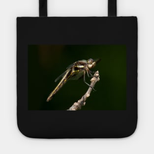 Bazinga Tote