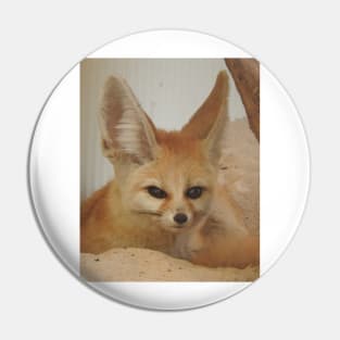 Fennec Fox Pin