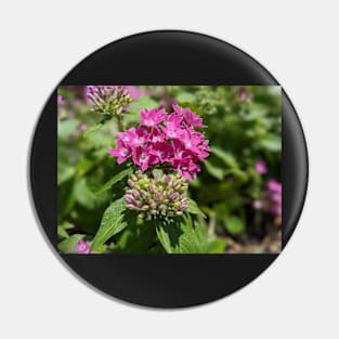 Cluster of Pink Flowers Pin