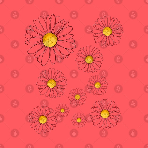 Daisies by Miruna Mares