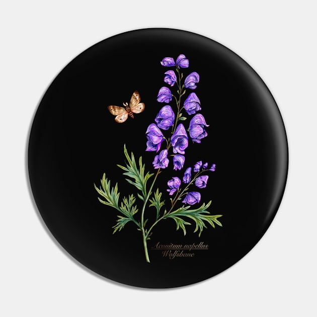 Monkshood garden flowers Pin by Sitenkova