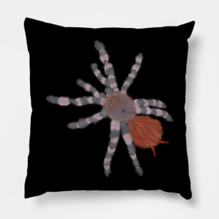 Hairy Tarantula Spider Pillow