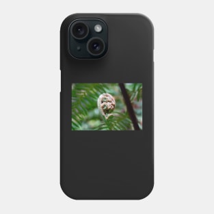 Unfurling tree fern frond. Phone Case