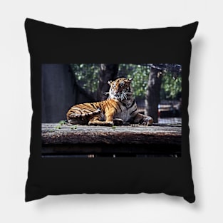 Tiger #1 - London Zoo Pillow