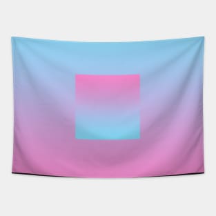 Pink and Blue Gradient Box Tapestry