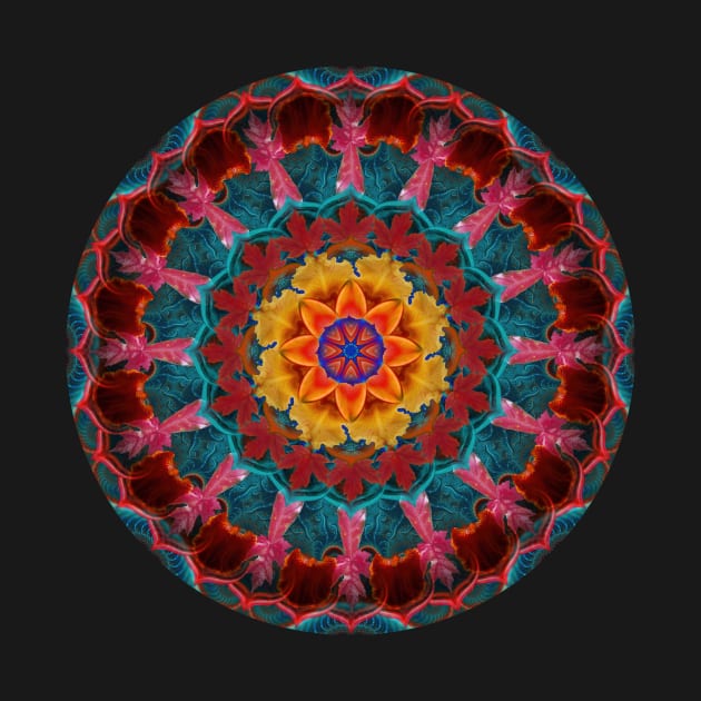 Mandala Magic - Daily Focus 9.12.2023 by Mandala Magic