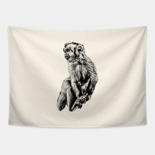 Tufted capuchin Tapestry