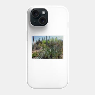 Desert Botanical Phone Case