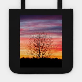 Tree silhouette and beautiful vibrant sunset clouds Tote