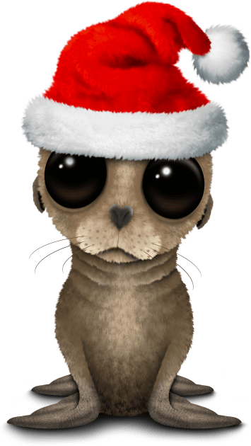 Baby Sea Lion Wearing a Santa Hat Kids T-Shirt by jeffbartels