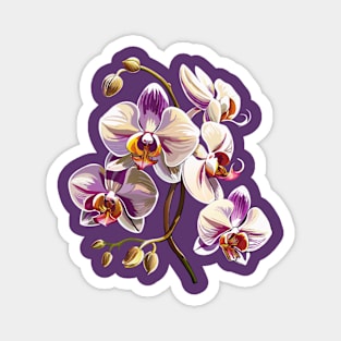 Elegant orchid design Magnet