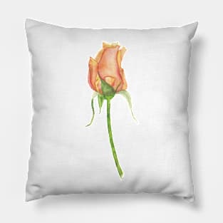 Orange Rosebud, watercolor Pillow