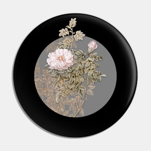 Vintage Blooming Ventenat's Rose Botanical Illustration on Circle Pin