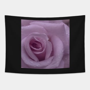 Pink Rose Close Up Tapestry