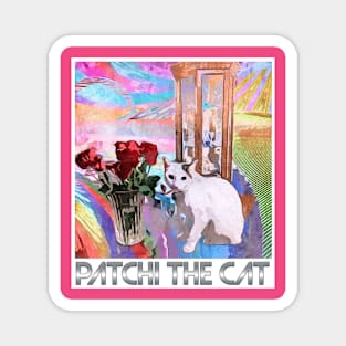 Patchi the Cat, Rainbows and Love Magnet