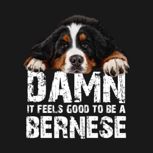 Bernese mountain dkg T-Shirt