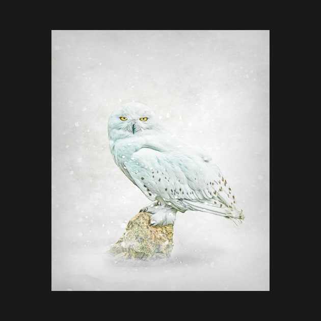 Snowy owl portrait by Tarrby