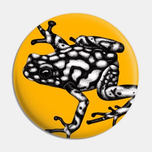 Harlequin poison frog illustration Pin