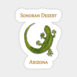 Gecko as seen in the Sonoran Desert of Arizona Magnet