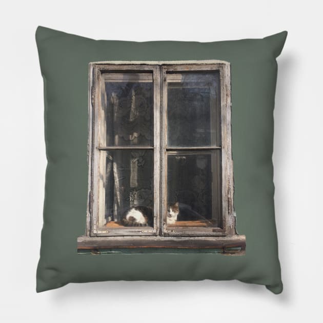 Window Cat Pillow by TenomonMalke