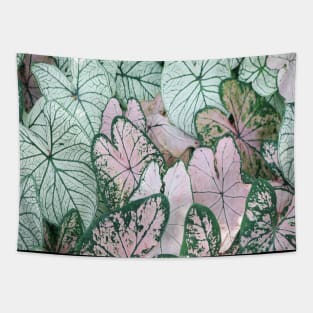 Photo of Beautiful Leaves Tapestry