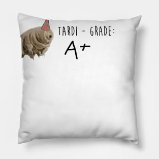 Tard-Grade: A+ Pillow