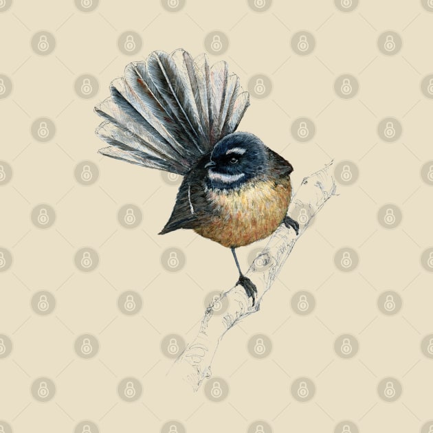 Mr Pīwakawaka -Fantail , New Zealand native bird by EmilieGeant