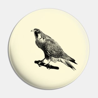 Falcon Pin