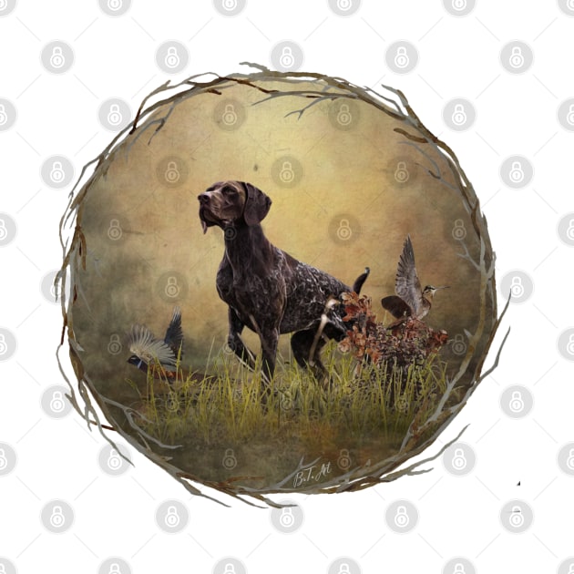 A German Shorthaired Pointer on point by German Wirehaired Pointer 