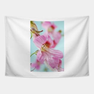 Rehmannia elata  AGM  Chinese foxglove Tapestry