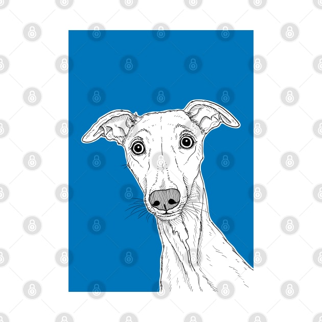 Whippet Dog Portrait ( blue background ) by AdamRegester