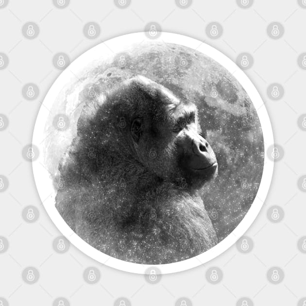 Gorilla Moon Magnet by Astrablink7