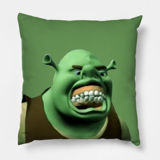 Shrek Goofed Pillow