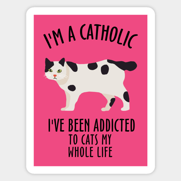 I M A Catholic I Ve Been Addicted To Cats My Whole Life