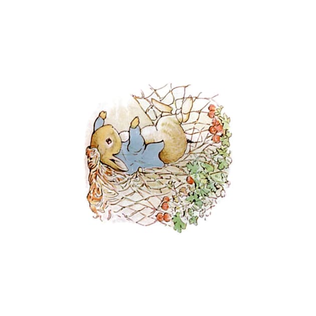 Beatrix Potter Peter netted by QualitySolution