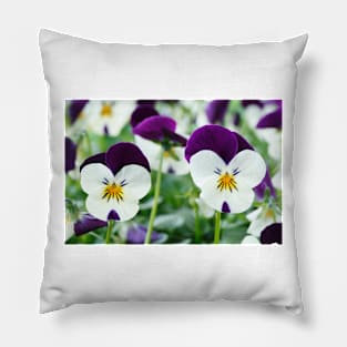 Viola  Rocky White with Purple Wings  Rocky series Pillow